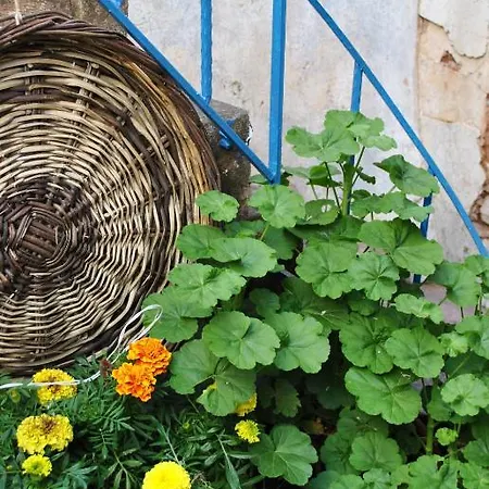 Florina Affittacamere