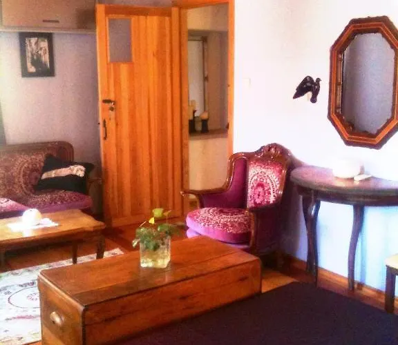 Pensionat Florina 4*